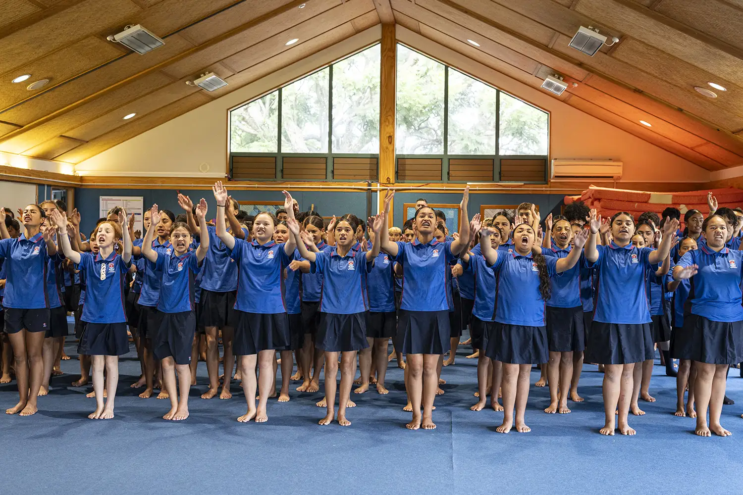 Tauranga Intermediate School 校園與學習環境