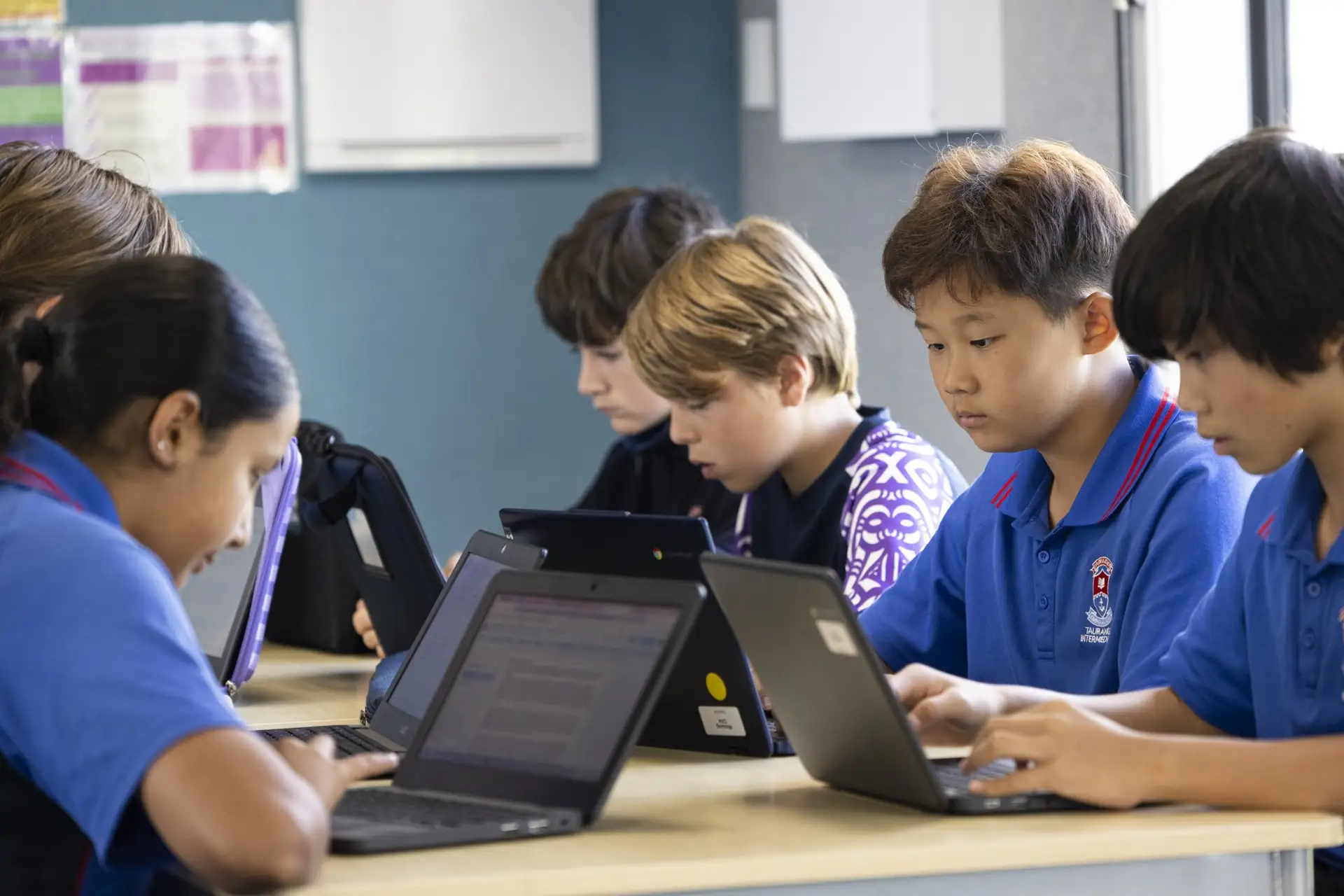 Tauranga Intermediate School