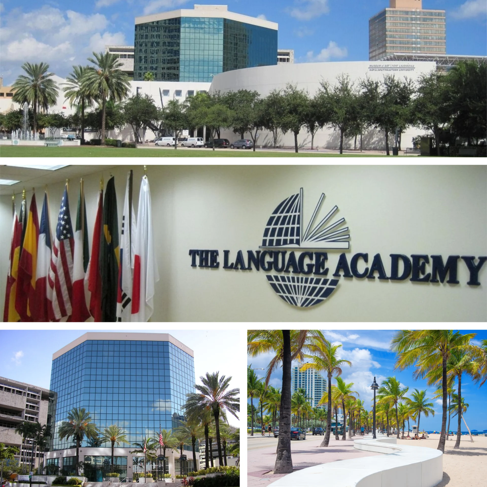 TLATheLanguageAcademy